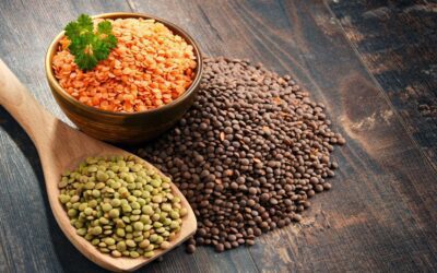 Unlocking the Nutritional Goldmine: The Many Benefits of Lentils