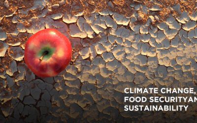Food Security and Climate Change: How Global Warming Affects Nutrition and Hunger