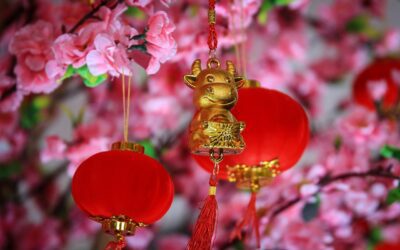 Chinese New Year Traditions and Customs